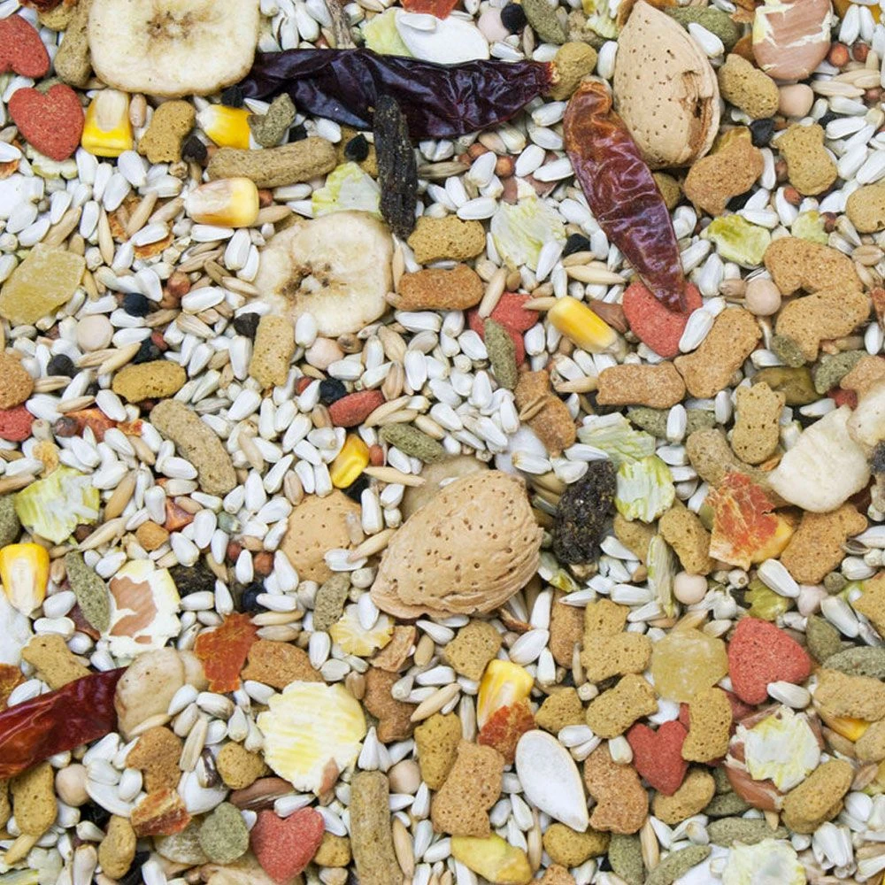 Higgins Vita Seed California Blend Parrot Food, 5-lb Bag - Image 2