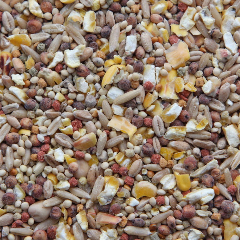 Higgins Vita Seed California Blend Vita Dove Food, 25-lb - Image 2