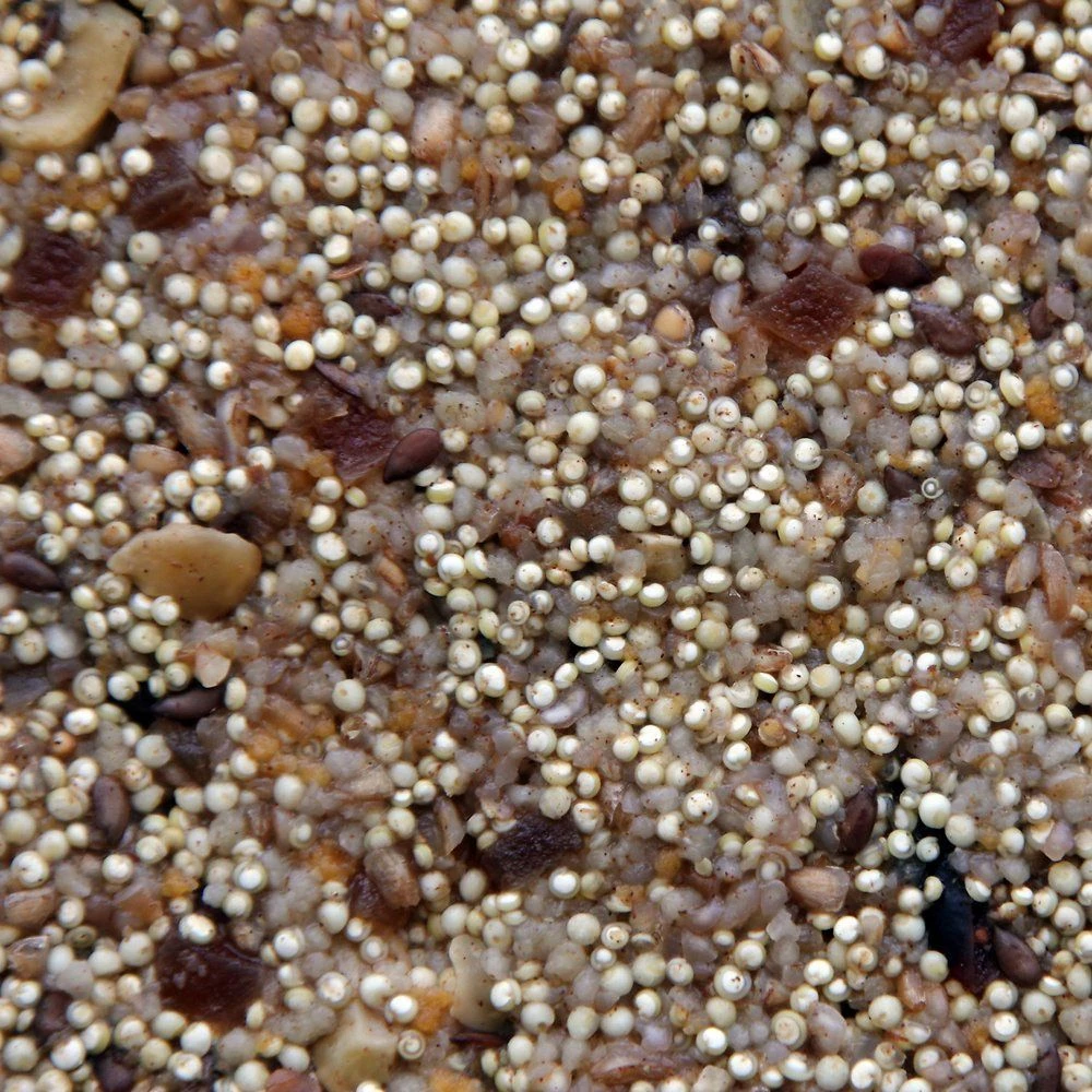 Higgins Worldly Cuisines African Sunset Bird Treats, 13-oz Bag - Image 2