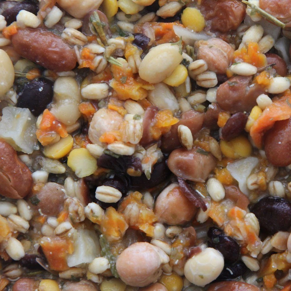 Higgins Worldly Cuisines Inca Bean Salad Bird Treats, 2-oz - Image 2