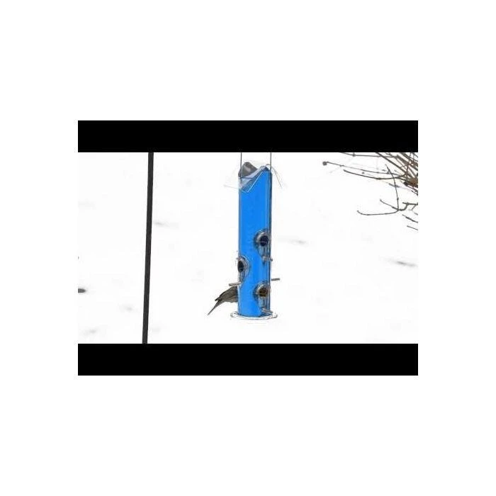 Perky-PetĀ® Blue Metal Tube Wild Bird Feeder - Image 2