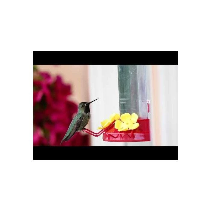 Perky-PetĀ® Window-Mount Hummingbird Feeder - Image 18