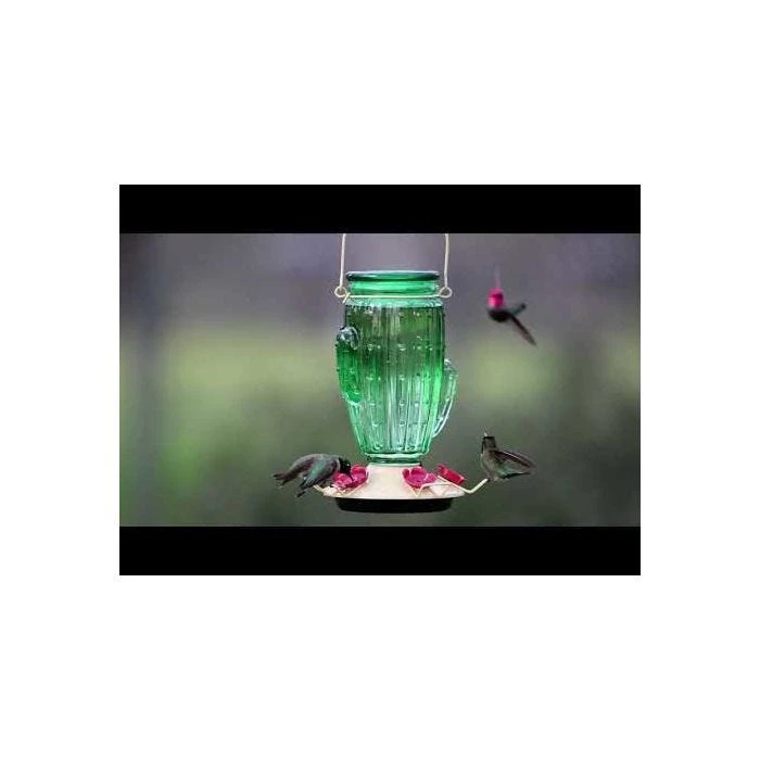 Perky-PetĀ® Cactus Top-Fill Hummingbird Feeder - Image 17