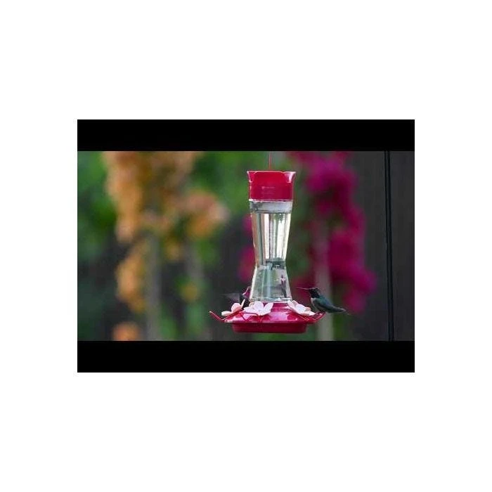 Perky-Pet® Top-Fill Pinch-Waist Glass Hummingbird Feeder - 12 Oz Nectar Capacity - Image 20