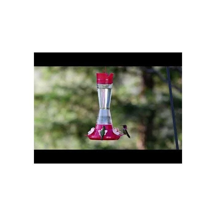 Perky-PetĀ® Top-Fill Favored Pinch-Waist Glass Hummingbird Feeder - 20 Oz Nectar Capacity - Image 19