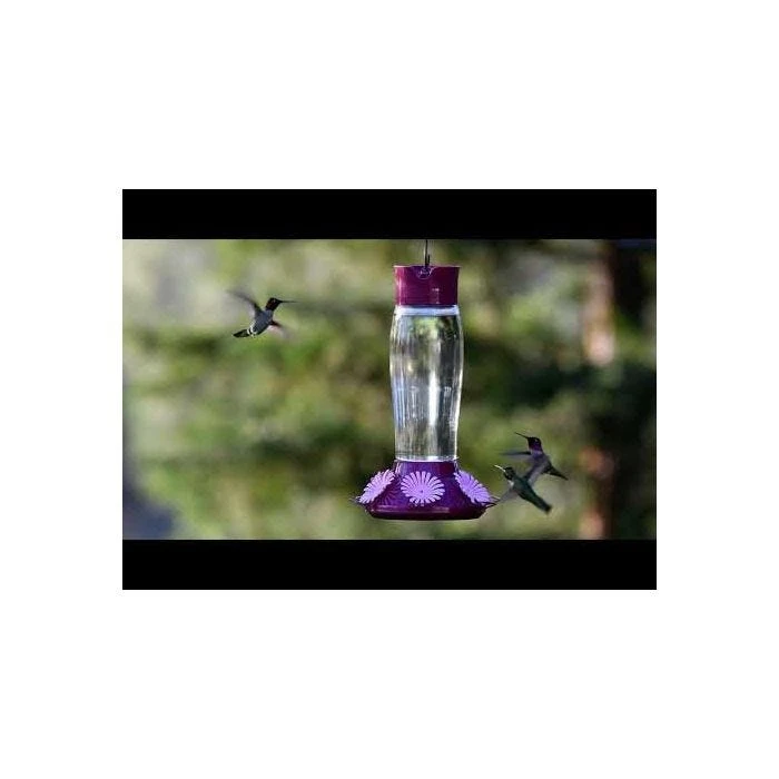 Perky-PetĀ® Top-Fill Hummer's Favorite Glass Hummingbird Feeder - Image 3