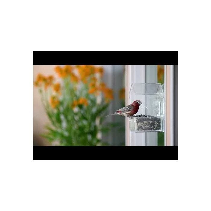 Perky-Pet® Window Bird Feeder - ½ Lb Seed Capacity - Image 18