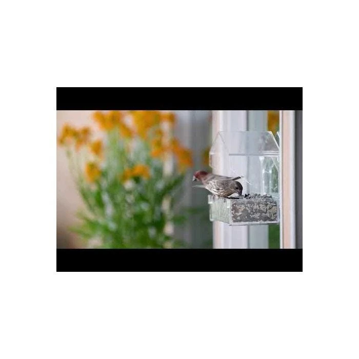 Perky-Pet® Dual-Seed Window Bird Feeder - 1 Lb Seed Capacity - Image 20