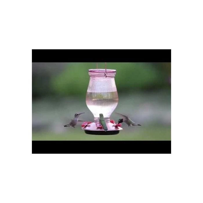 Perky-PetĀ® Rose Gold Top-Fill Glass Hummingbird Feeder - Image 2
