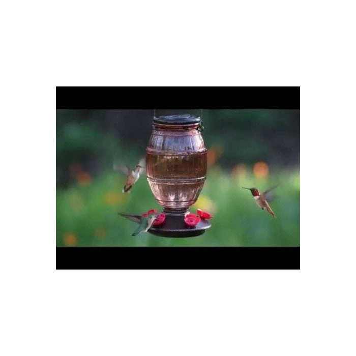 Perky-Pet® Prohibition Top-Fill Glass Hummingbird Feeder - Image 15