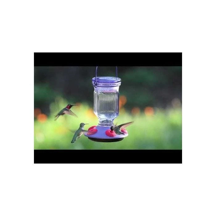 Perky-PetĀ® Lavender Field Top Fill Hummingbird Feeder - Image 4