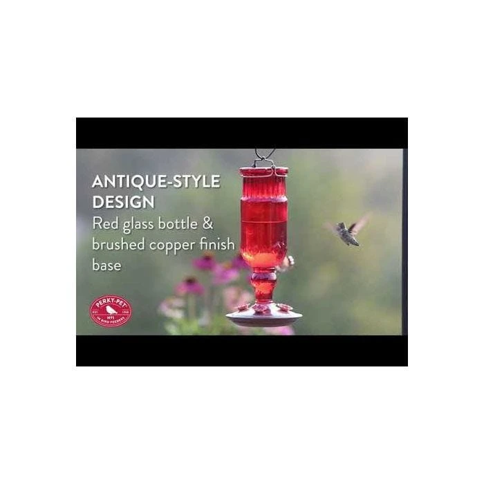 Perky-PetĀ® Red Antique Glass Bottle Hummingbird Feeder - 24 Oz Nectar Capacity - Image 2