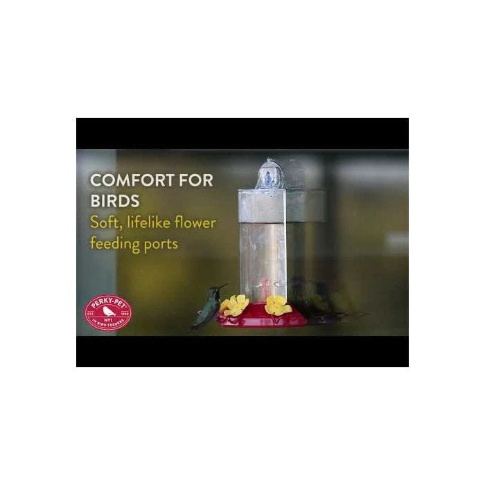 Perky-PetĀ® Window-Mount Hummingbird Feeder - Image 2