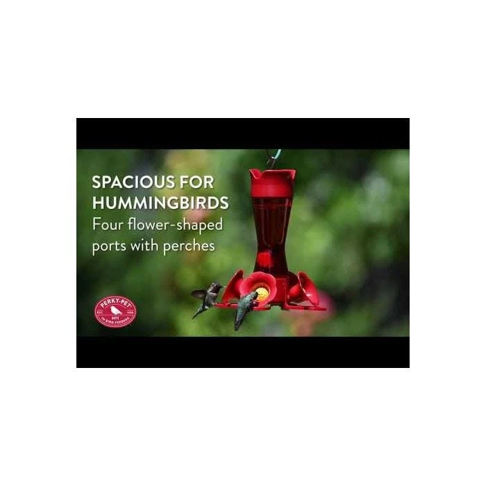 Perky-Pet® Pinch-Waist Red Glass Hummingbird Feeder - 8 Oz Nectar Capacity - Image 2