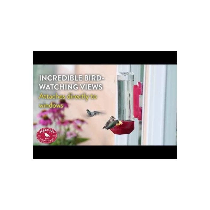 Perky-PetĀ® Window-Mounted Glass Hummingbird Feeder - Image 2