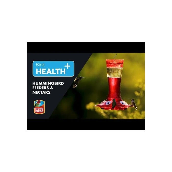 More Birds® Bird Health Ruby Glass Hummingbird Feeder With Ant Moat - 10 Oz - Image 5