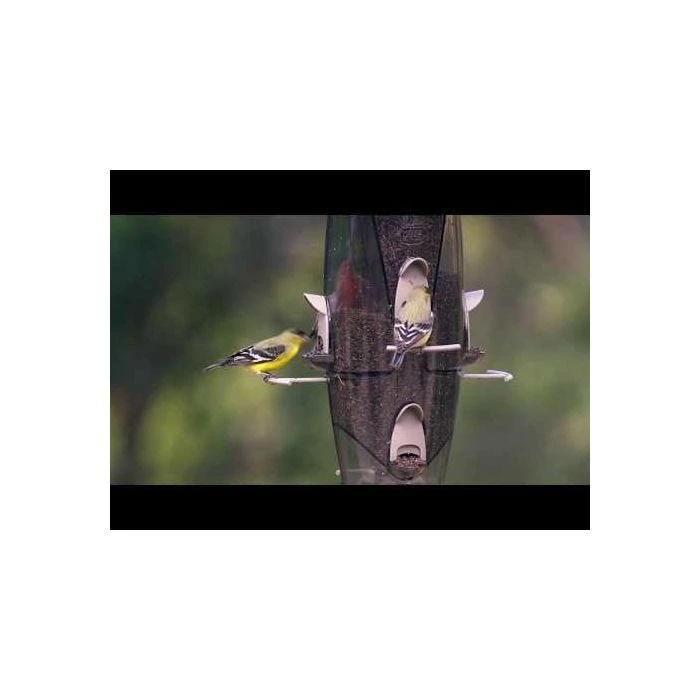 More Birds® Abundance Combination Sunflower/Thistle Bird Feeder - 3.5 Lb - Image 7