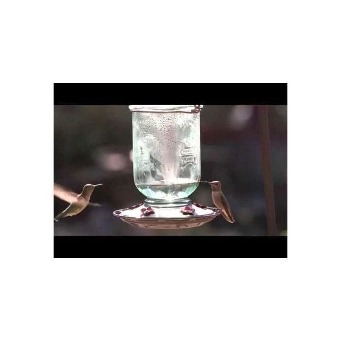 More Birds® Mason Jar Glass Hummingbird Feeder - 25 Oz - Image 5