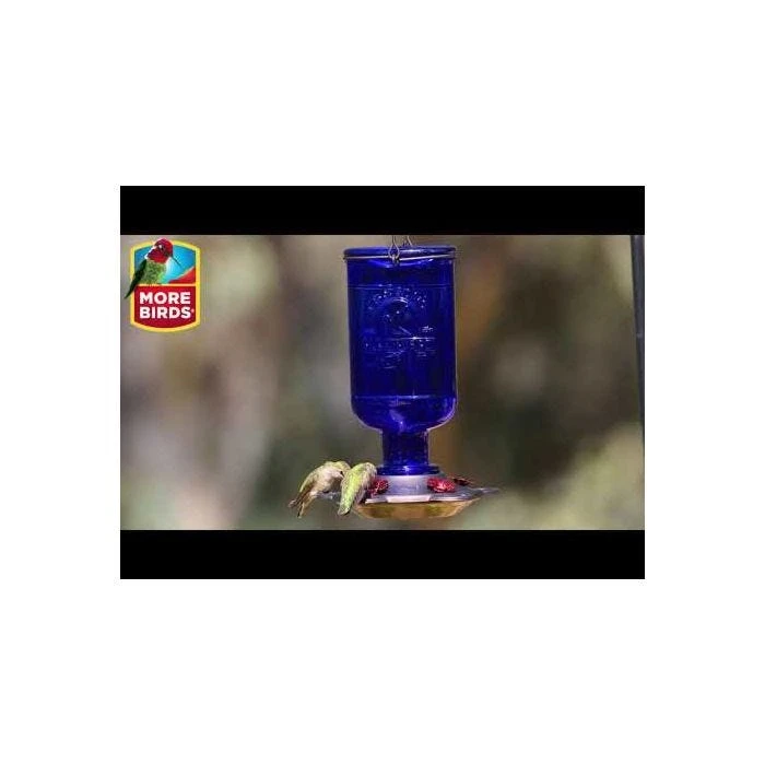 More Birds® Elixir Glass Hummingbird Feeder - 13 Oz - Blue - Image 6