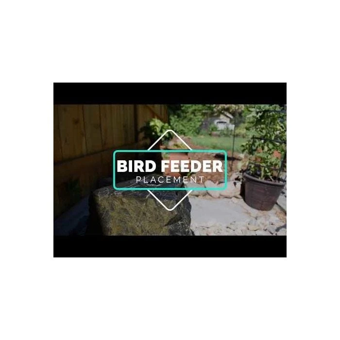 Squirrel-X X8 Squirrel-Resistant Bird Feeder With Spring-Loaded Perches - 2.5 Lb - Image 6