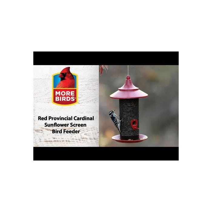 More Birds® Red Provincial Cardinal Screen Bird Feeder - 2.8 Lb - Image 5