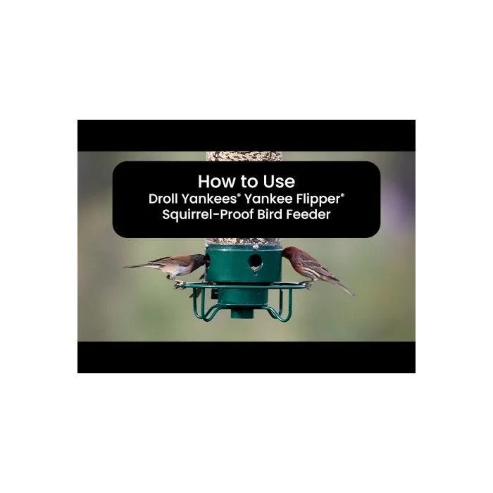 Droll Yankees® Yankee Flipper® Squirrel-Proof Bird Feeder - 5 Lb - Image 3