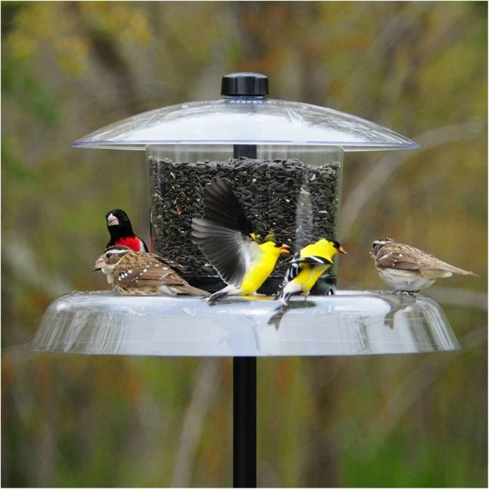 Droll Yankees® Jagunda® Squirrel-Proof Bird Feeder With Auger - 6 Lb