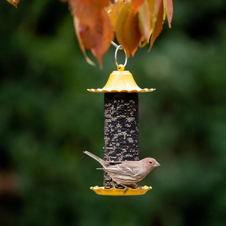 Little-Bit Finch Screen Feeder - Image 2
