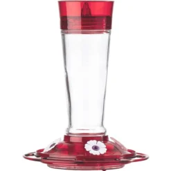 More Birds Ruby Hummingbird Feeder 10 Oz.