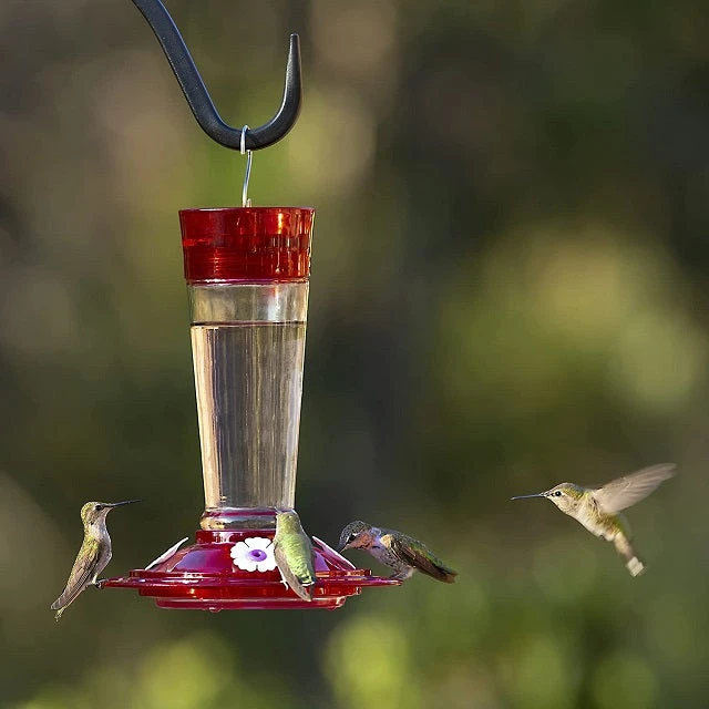 More Birds Ruby Hummingbird Feeder 10 Oz. - Image 4