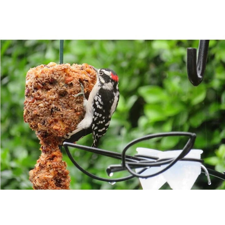 Mr. Bird Flaming Hot Feast Seed Log - Image 2