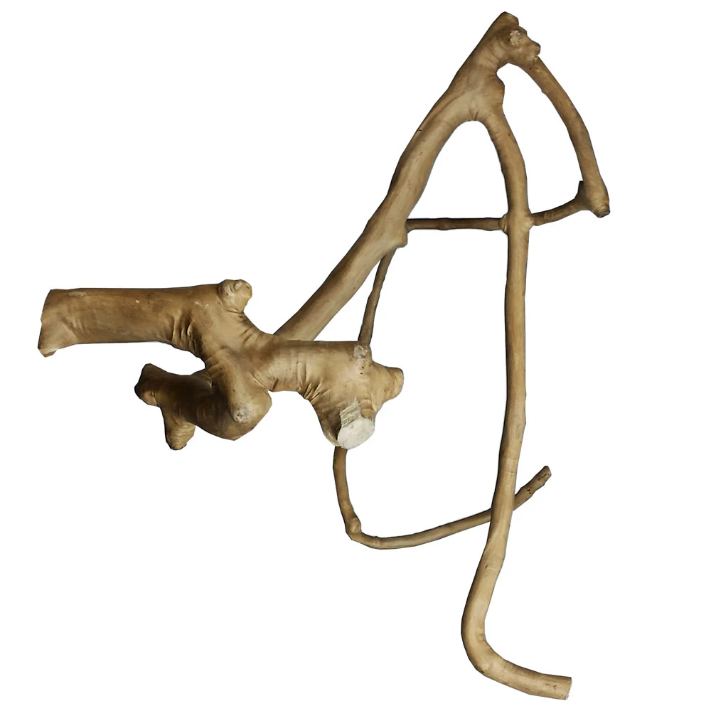 Multi-Branch - Large (26x2.4)