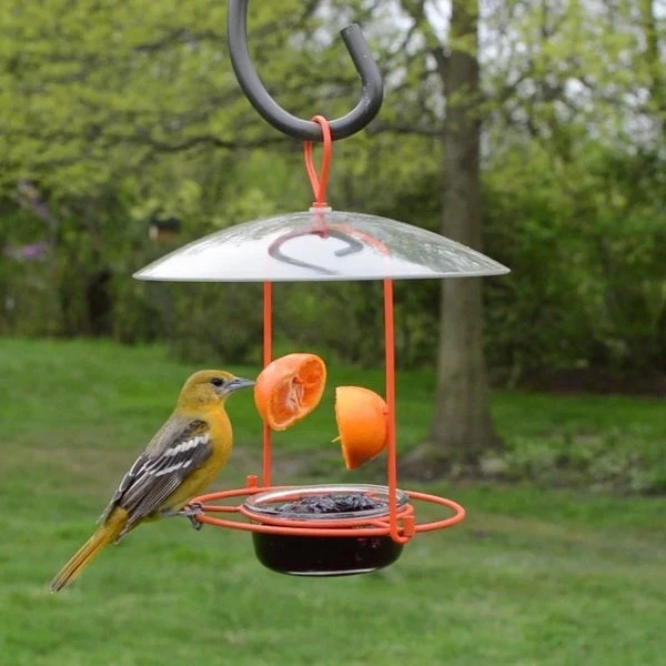 Nature's Way® Wire Oriole Feeder - Image 6