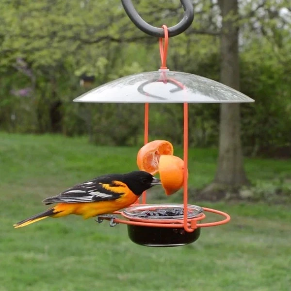 Nature's Way® Wire Oriole Feeder - Image 8