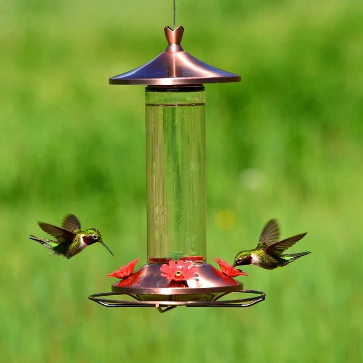 Elegant Copper & Glass Hummingbird Feeder, Perky Pet - Image 4