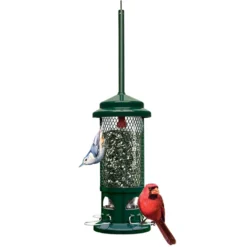 Squirrel Buster Standard Bird Feeder #1057