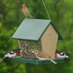 Songbird Essentials Recycled Plastic Large Hopper Feeder