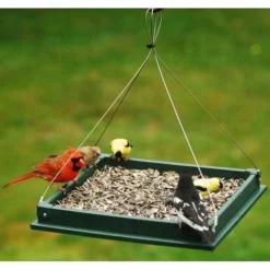 Songbird Essentials Hanging Platform Feeder, 12.5" X 12.5"