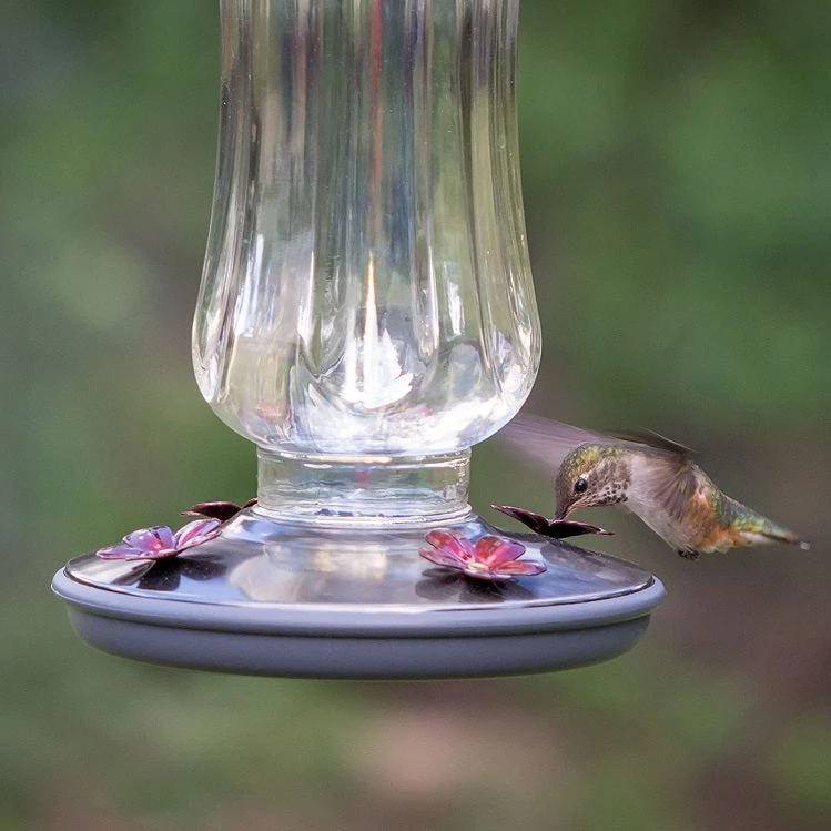 Hummingbird Feeder, Vintage Starglow- Perky Pet - Image 2