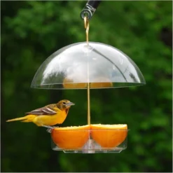 Droll Yankees® Seed Saver® Platform Bird Feeder With Adjustable Dome - 1 Lb