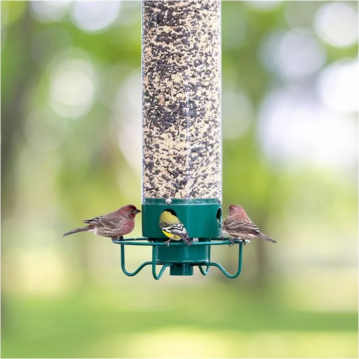 Droll Yankees® Yankee Flipper® Squirrel-Proof Bird Feeder - 5 Lb - Image 2