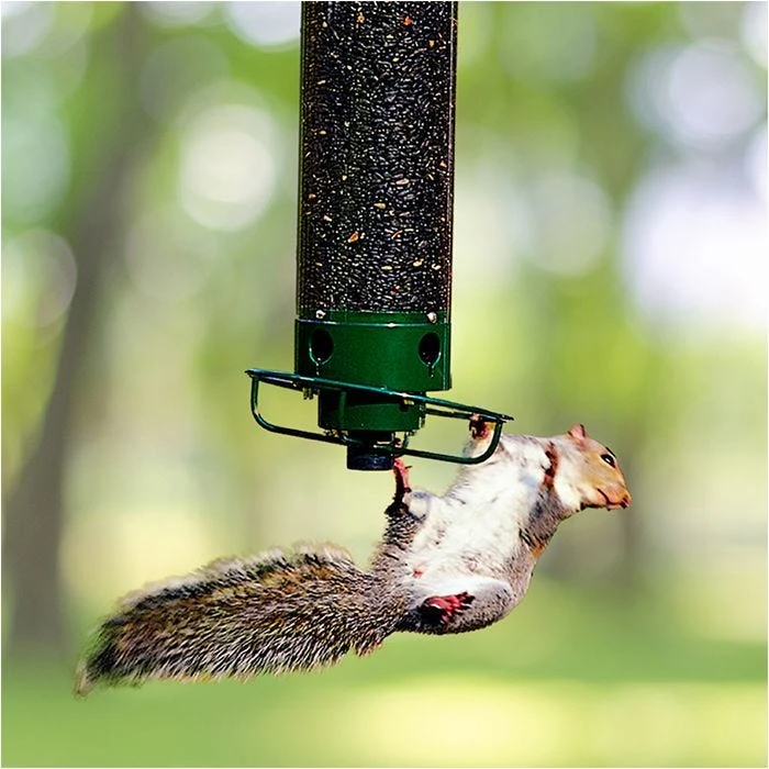 Droll Yankees® Yankee Flipper® Squirrel-Proof Bird Feeder - 5 Lb - Image 16