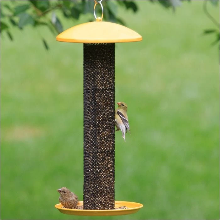 Perky-PetĀ® Straight-Sided Finch Tube Feeder